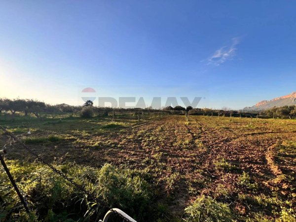 terreno agricolo in vendita a Partinico in zona Parrini
