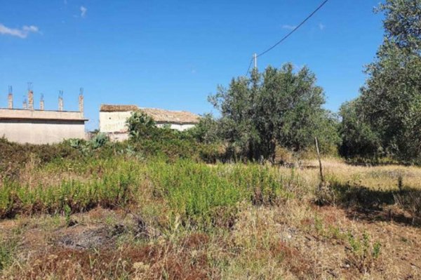 terreno agricolo in vendita a Partinico