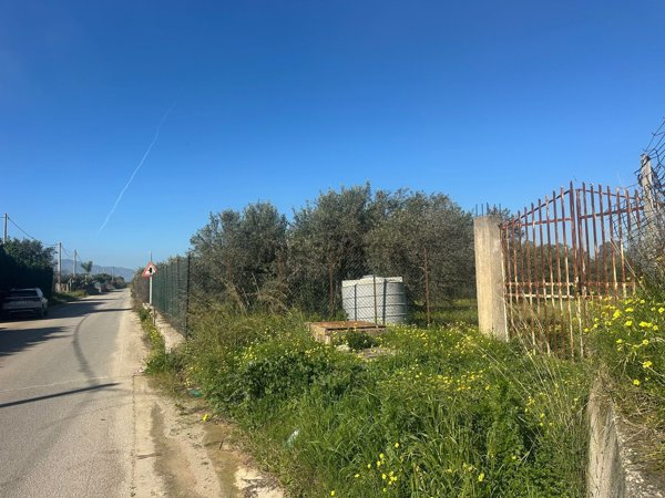 terreno agricolo in vendita a Partinico