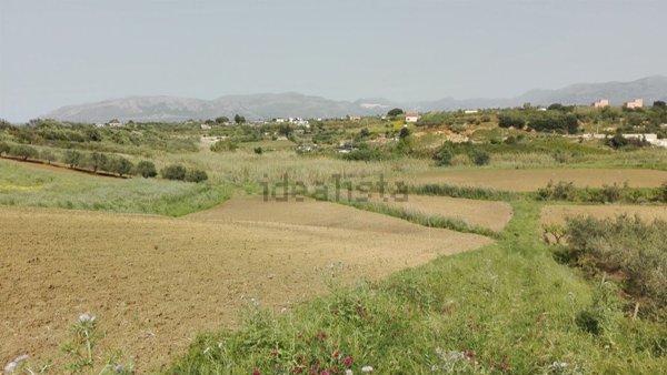 terreno agricolo in vendita a Partinico