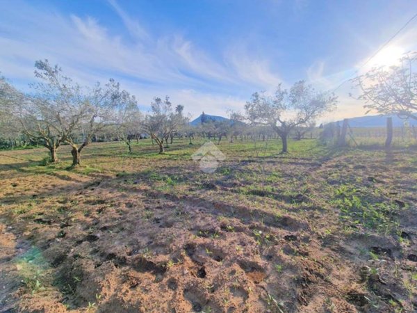 locale commerciale in vendita a Partinico