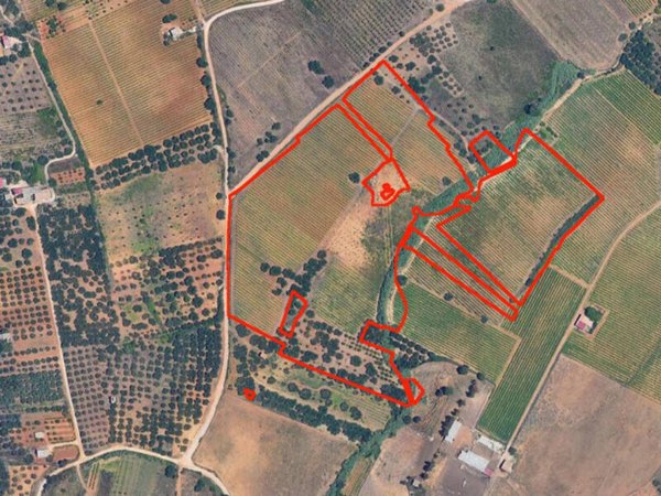 terreno agricolo in vendita a Partinico