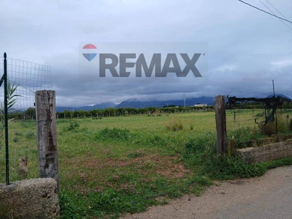 terreno agricolo in vendita a Partinico