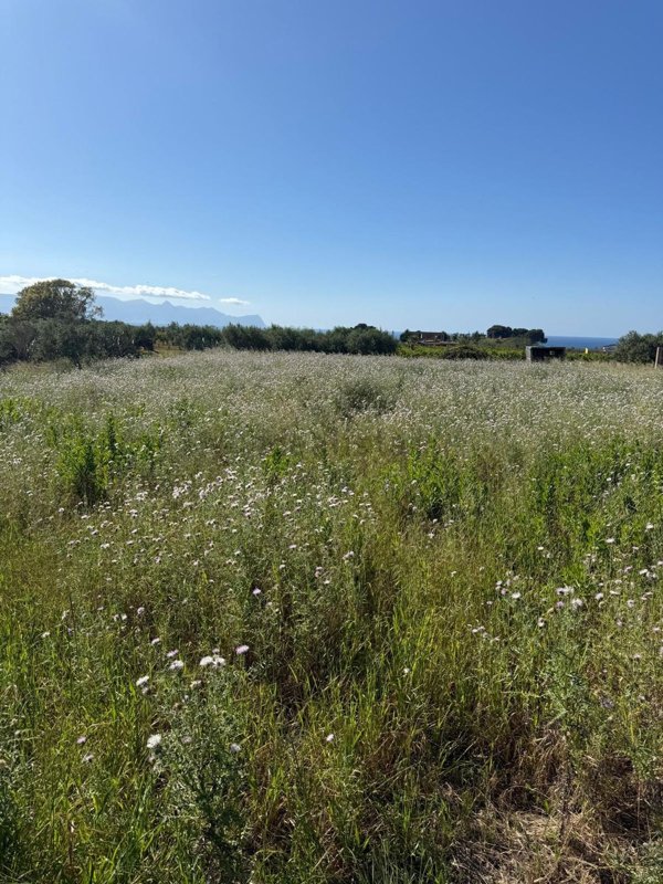 terreno agricolo in vendita a Partinico