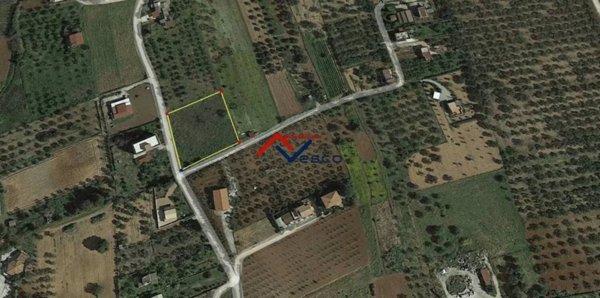 terreno agricolo in vendita a Partinico
