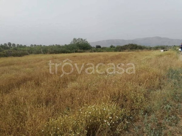 terreno agricolo in vendita a Partinico