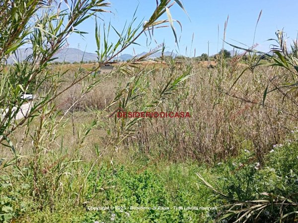 terreno agricolo in vendita a Partinico in zona Parrini