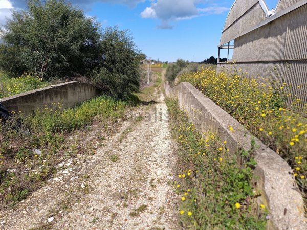 terreno in vendita a Partinico in zona Parrini