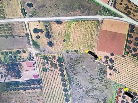 terreno in vendita a Partinico