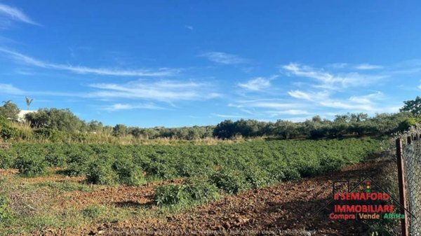 terreno in vendita a Partinico