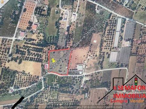 terreno in vendita a Partinico