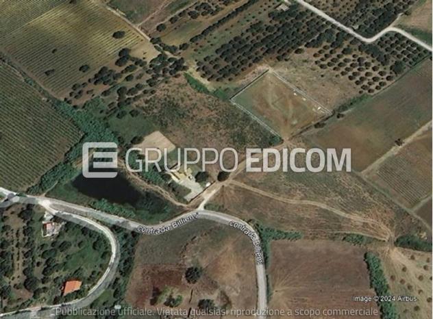 terreno in vendita a Partinico
