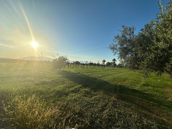 terreno in vendita a Partinico