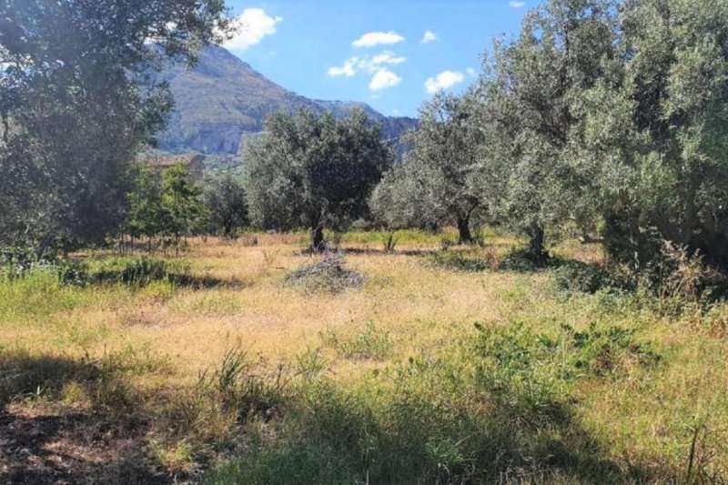 terreno in vendita a Partinico
