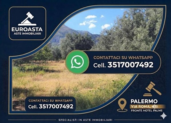 terreno in vendita a Partinico