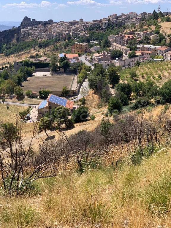 terreno agricolo in vendita a Petralia Soprana
