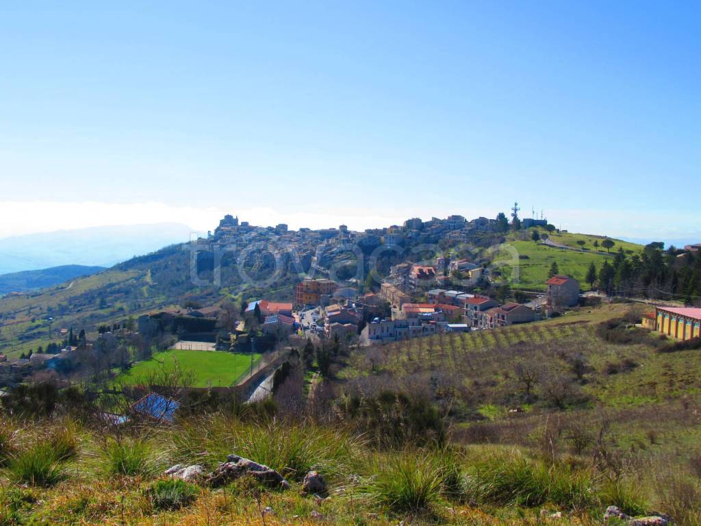 terreno agricolo in vendita a Petralia Soprana
