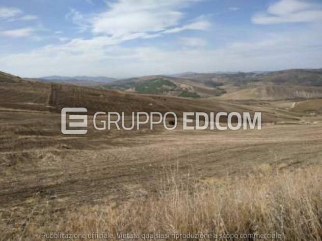 terreno agricolo in vendita a Petralia Soprana