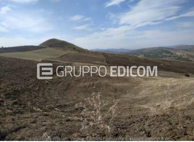 terreno agricolo in vendita a Petralia Soprana
