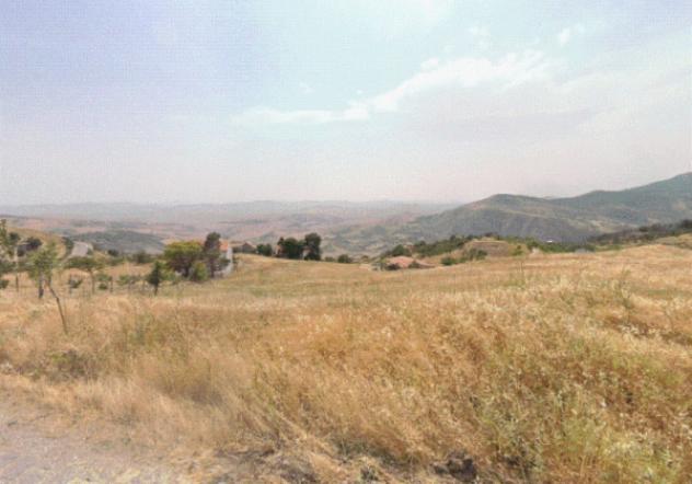 terreno agricolo in vendita a Petralia Soprana
