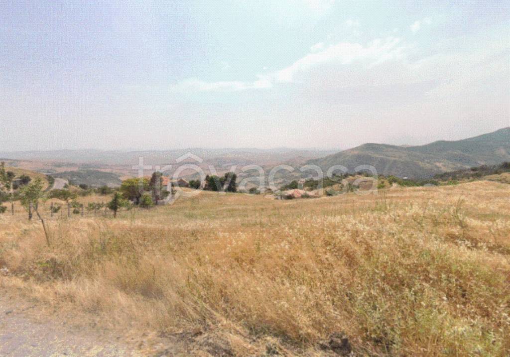 terreno agricolo in vendita a Petralia Soprana