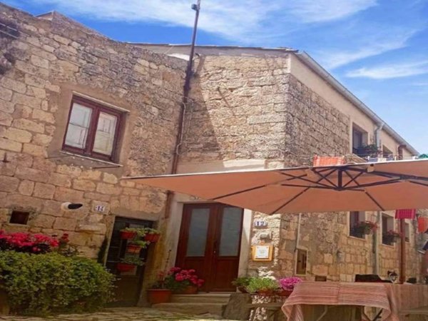 immagine annuncio 0 di 1