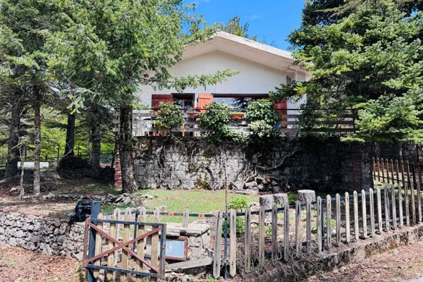 quadrivano in vendita a Petralia Sottana