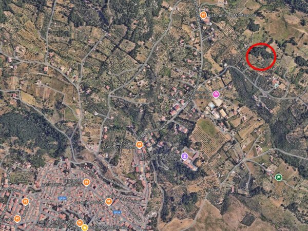 terreno agricolo in vendita a Piana degli Albanesi
