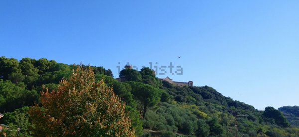 appartamento in vendita a Piana degli Albanesi