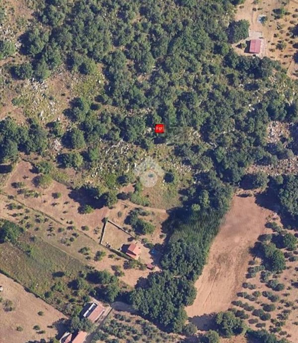 terreno agricolo in vendita a Piana degli Albanesi