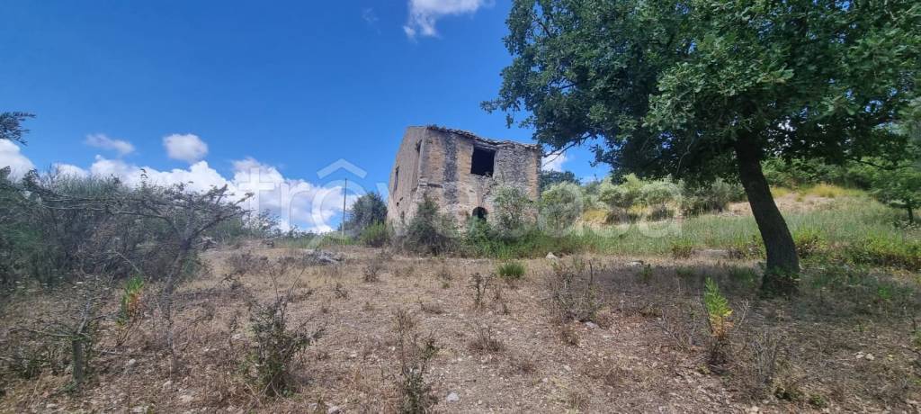 casa indipendente in vendita a Polizzi Generosa