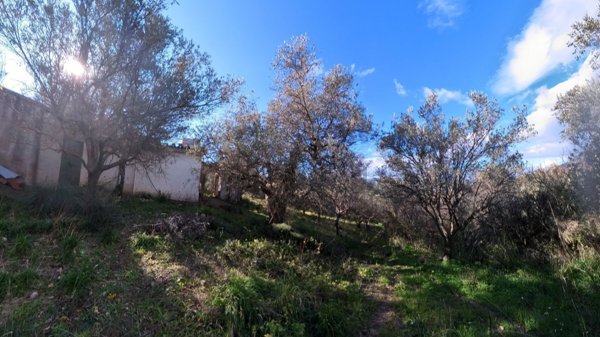 casa indipendente in vendita a Polizzi Generosa