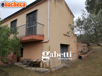 appartamento in vendita a Pollina