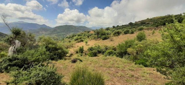 terreno agricolo in vendita a Pollina