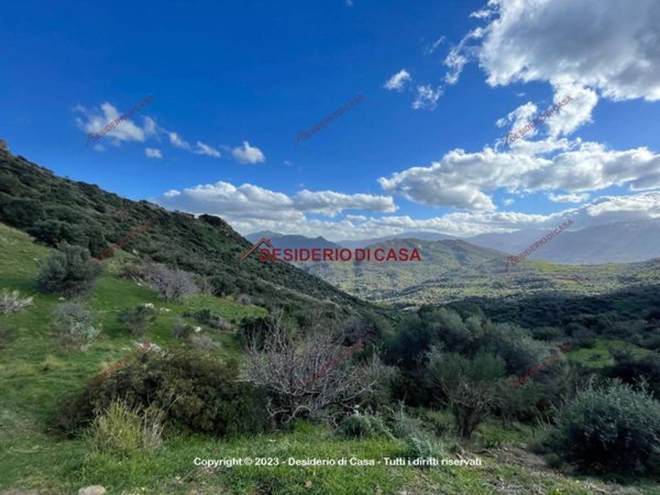 casa indipendente in vendita a Pollina