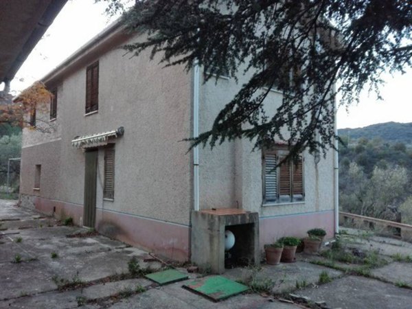 terreno agricolo in vendita a Pollina