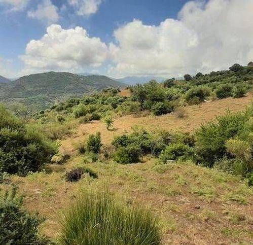terreno agricolo in vendita a Pollina