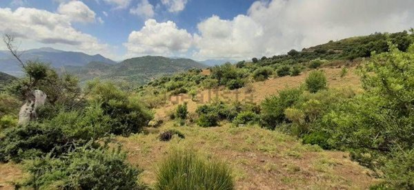 terreno agricolo in vendita a Pollina