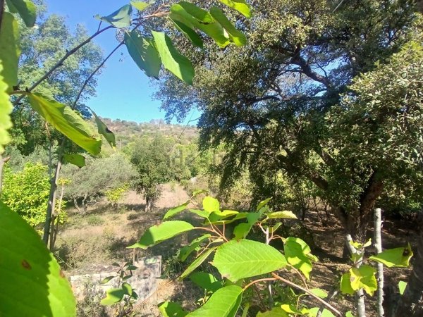 quadrivano in vendita a Pollina