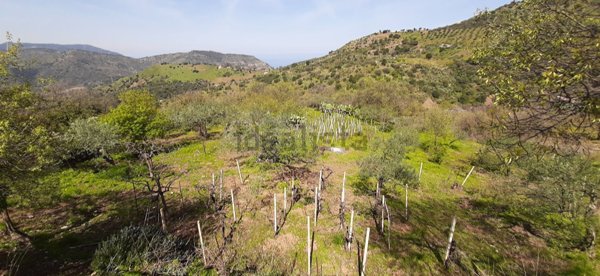 appartamento in vendita a Pollina in zona Finale