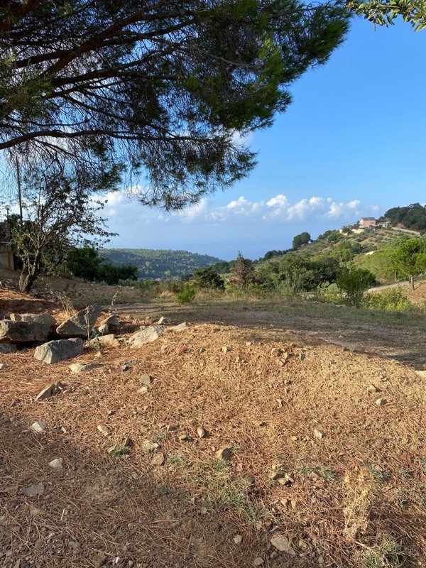 terreno edificabile in vendita a Pollina