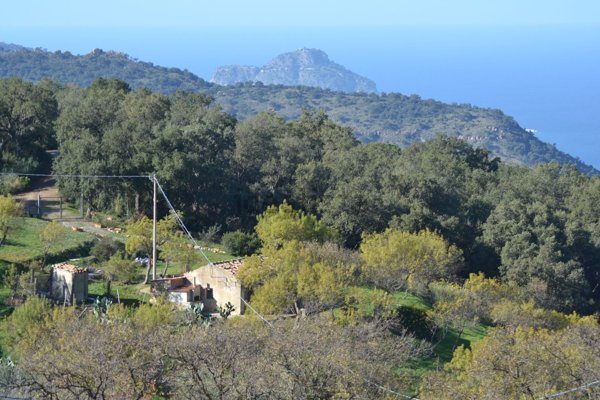 appartamento in vendita a Pollina