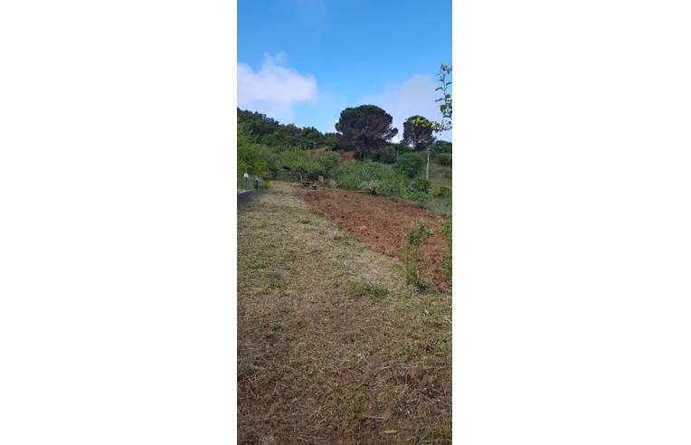 terreno agricolo in vendita a Pollina in zona Finale