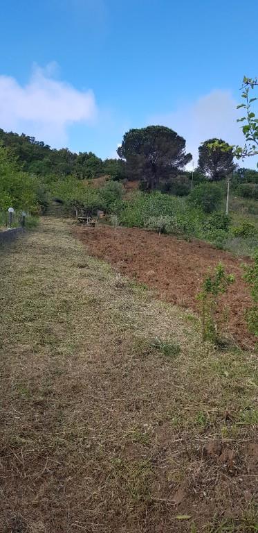 terreno agricolo in vendita a Pollina in zona Finale
