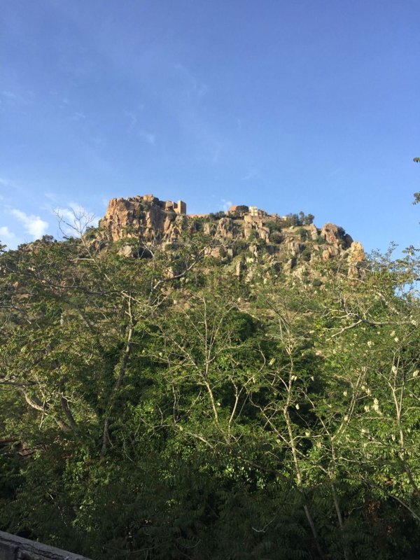 terreno agricolo in vendita a Pollina in zona Finale