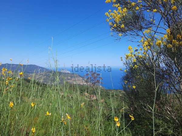 terreno agricolo in vendita a Pollina