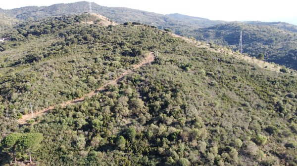 terreno agricolo in vendita a Pollina