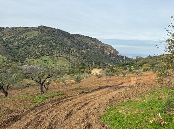 terreno agricolo in vendita a Pollina