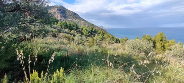 casa indipendente in vendita a Pollina