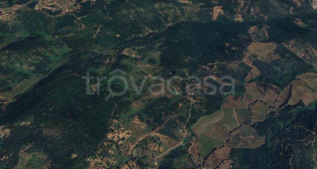 terreno agricolo in vendita a Pollina